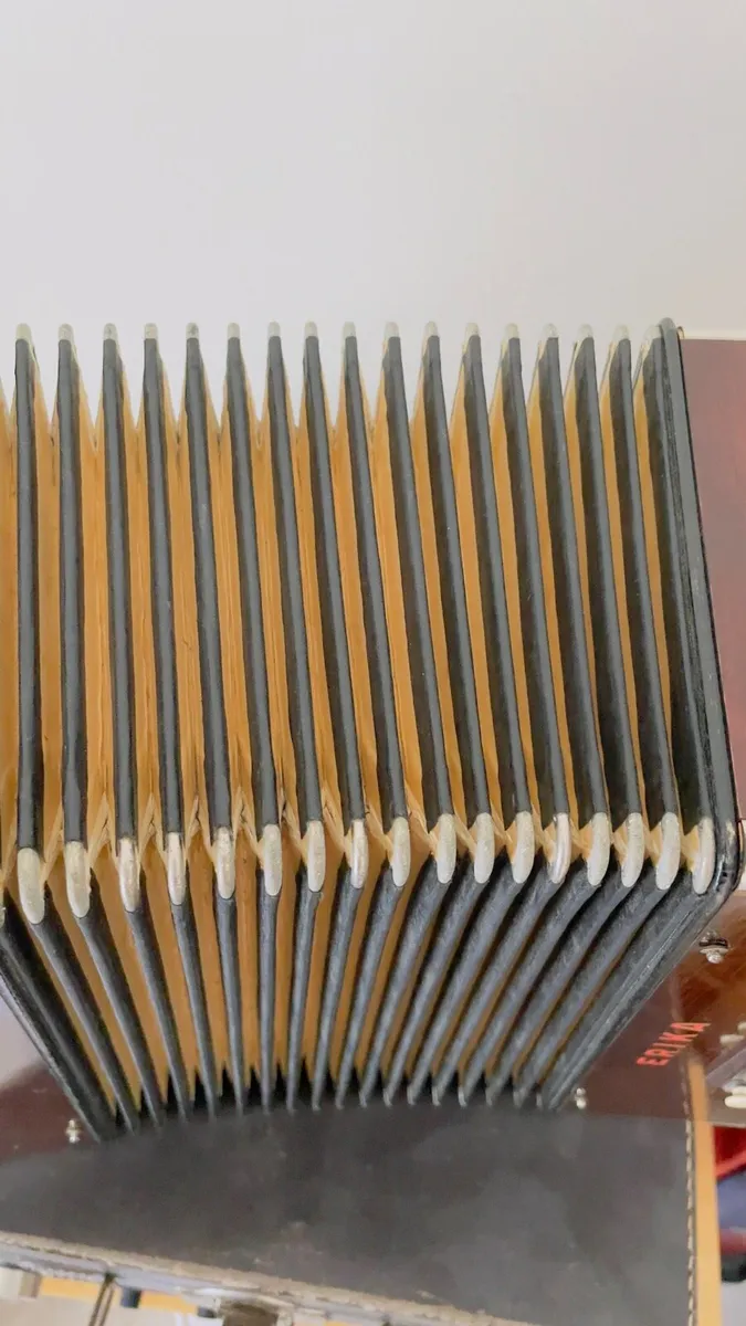 Vintage Hohner 2 1/2 Row Erica Accordion - Image 4