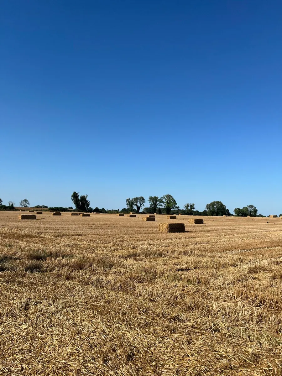 Straw bales 8-4-3 - Image 2