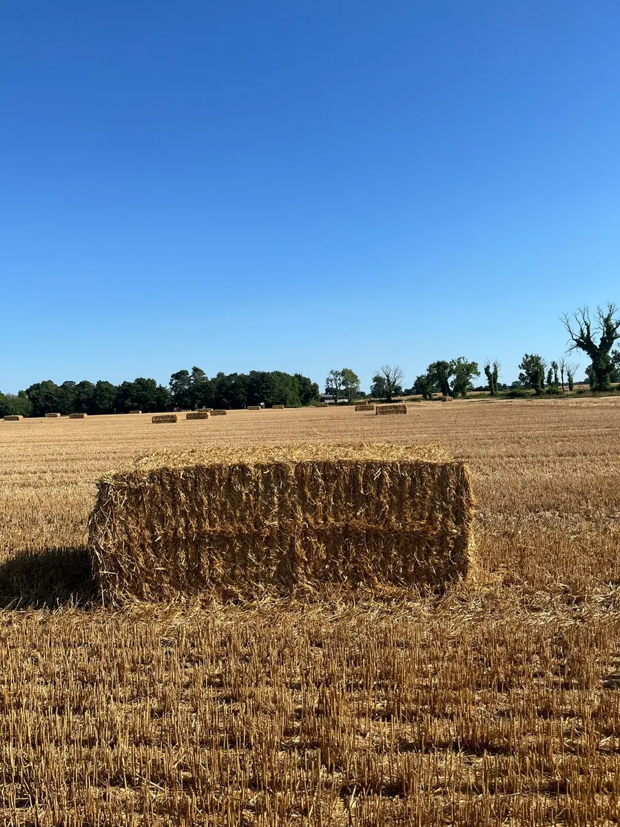 Straw bales 8-4-3 - Image 1