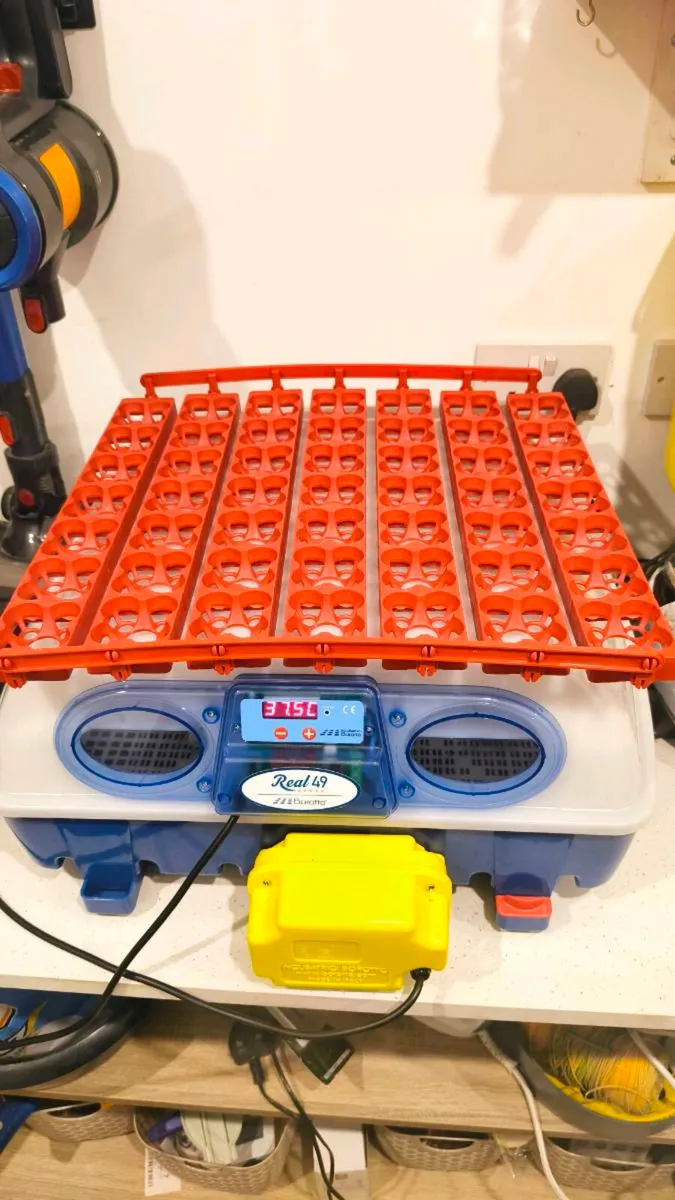 Incubator - Image 1