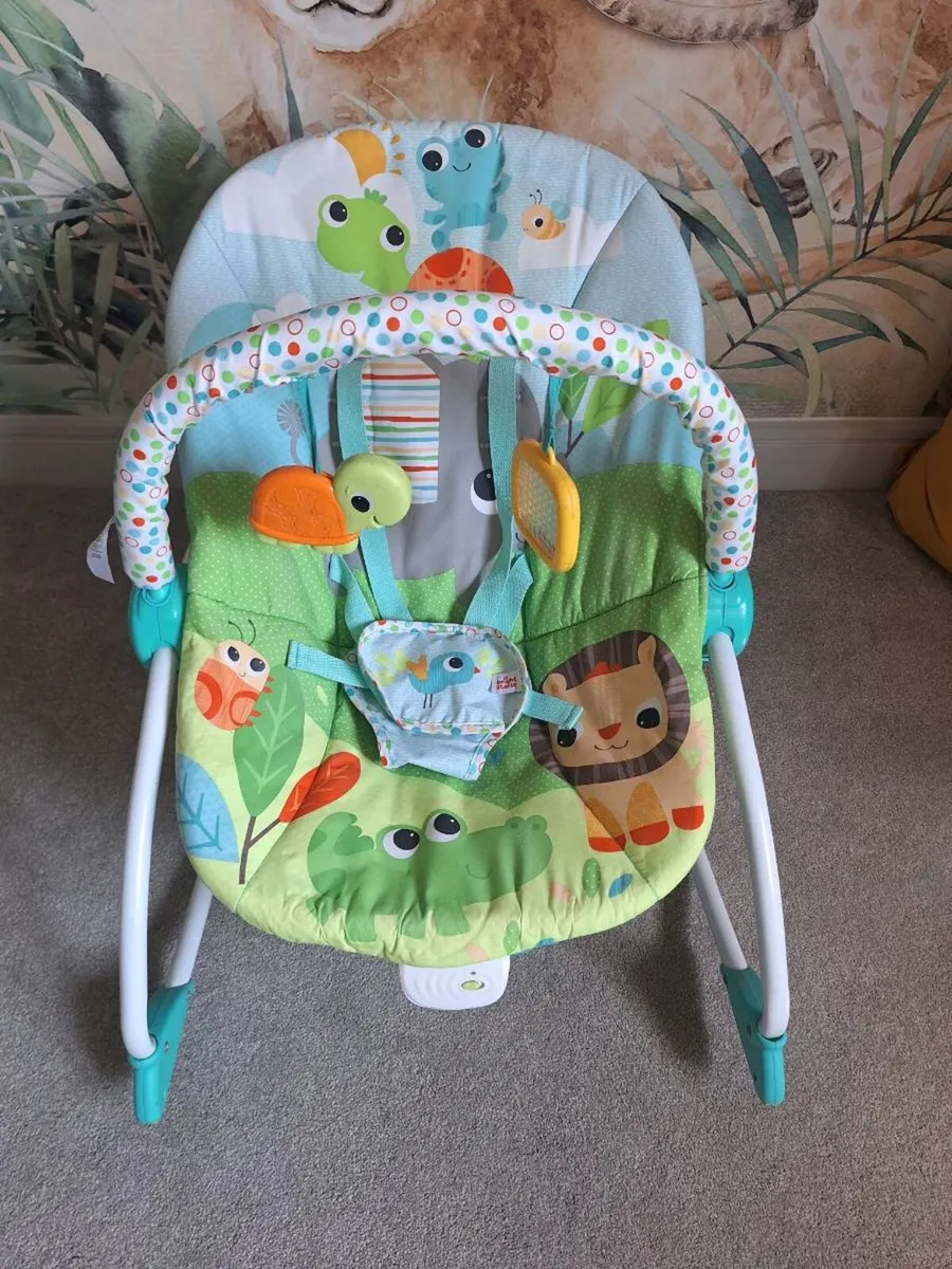 Bright Sparks Baby Bouncer - Image 1