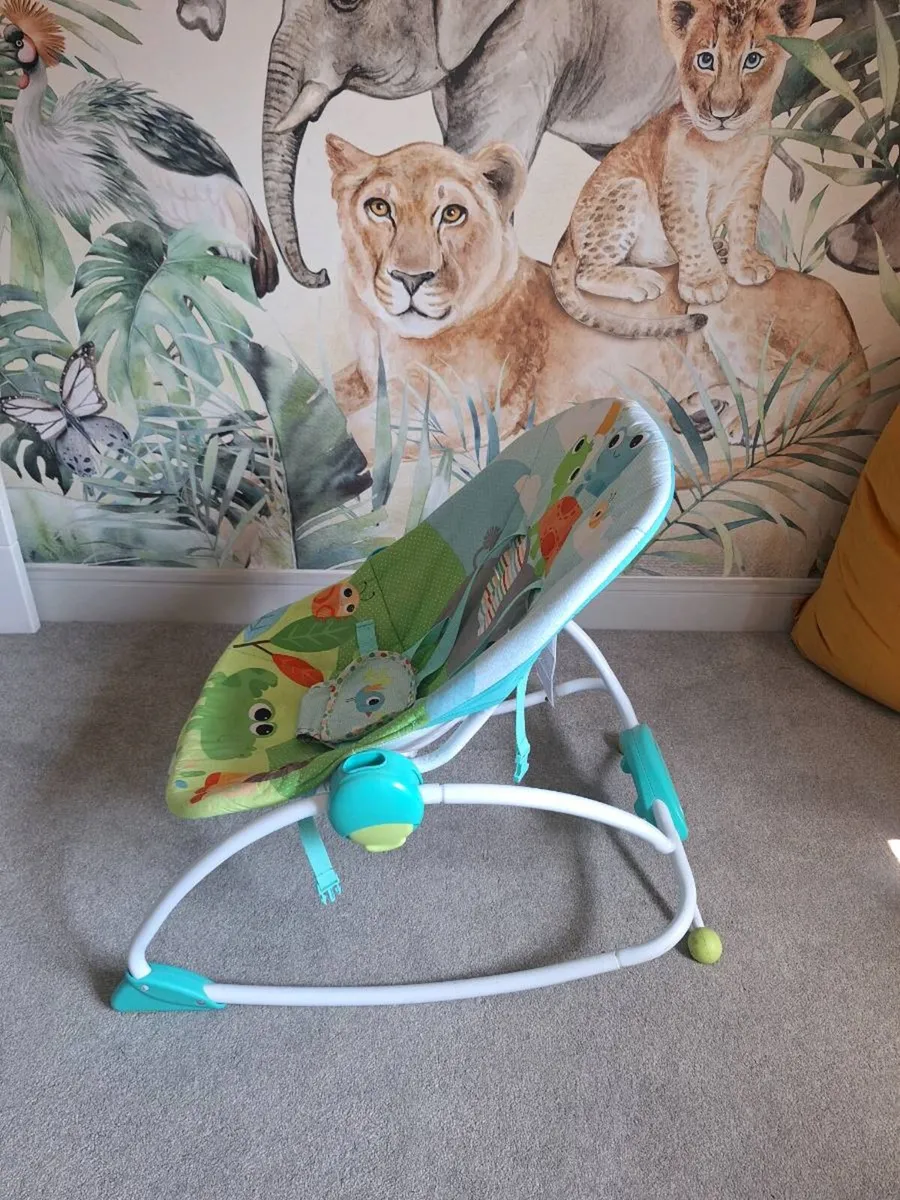 Bright Sparks Baby Bouncer - Image 2
