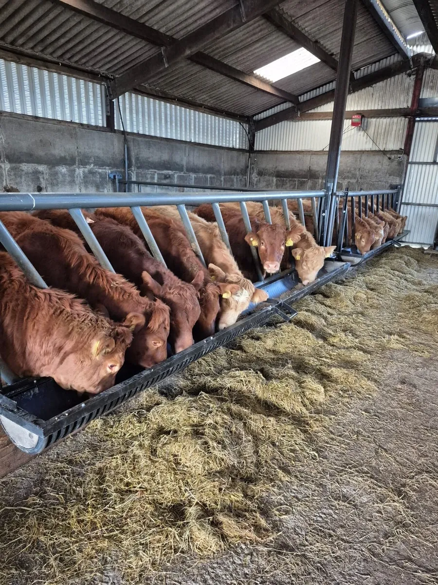 Swing down troughs - Image 1