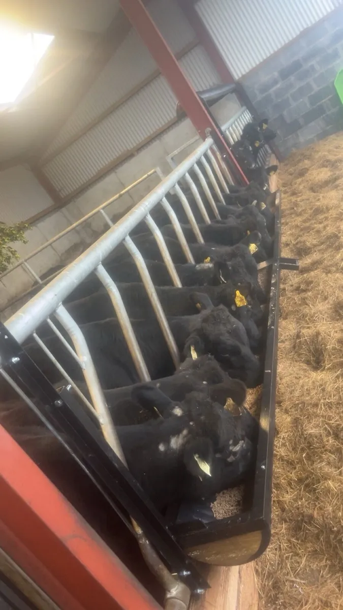 Swing down troughs - Image 4