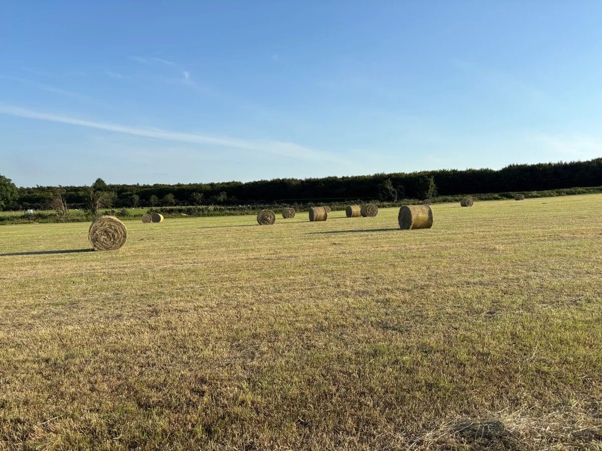 Hay round bales - Image 4