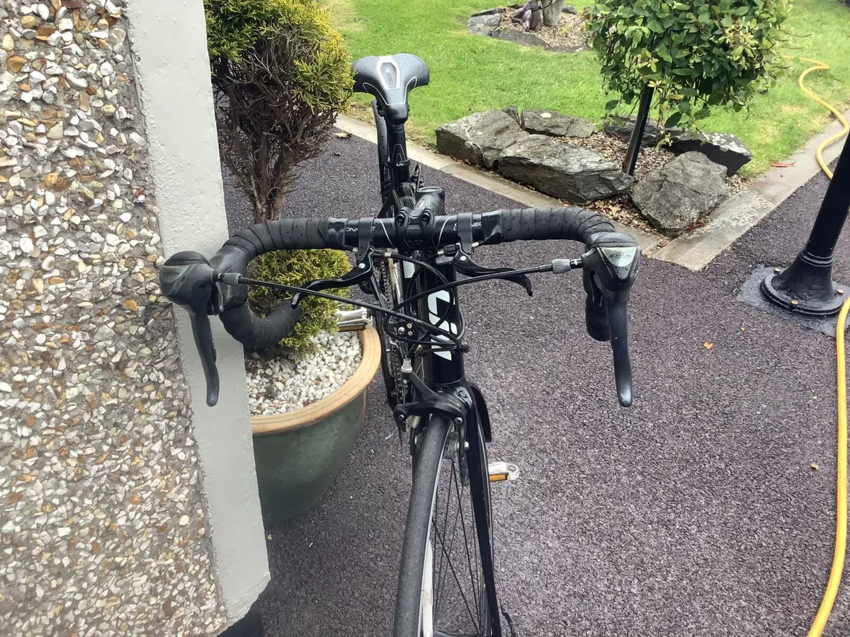 Giant Bike - Image 3