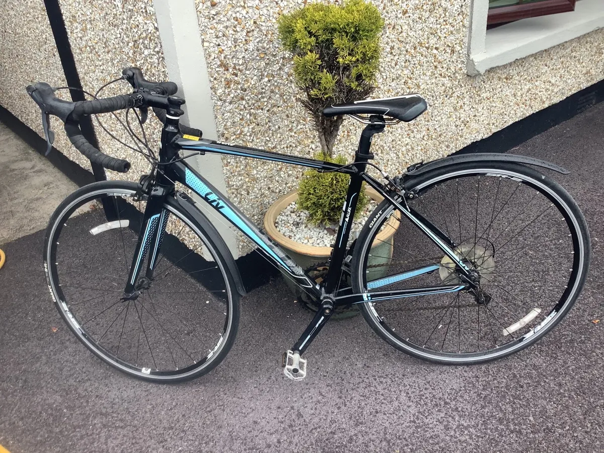Giant Bike - Image 4