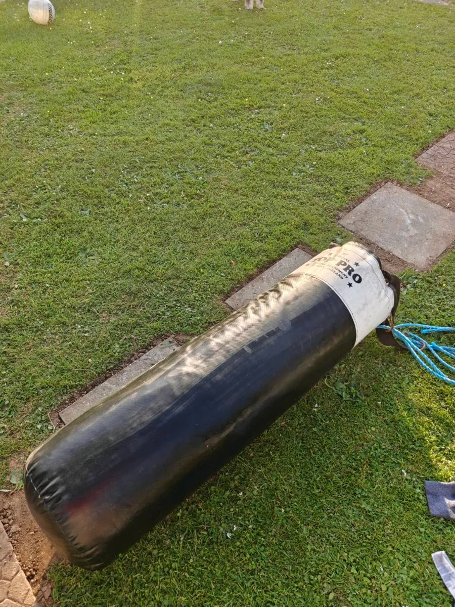Top Pro Punching bag - Image 1