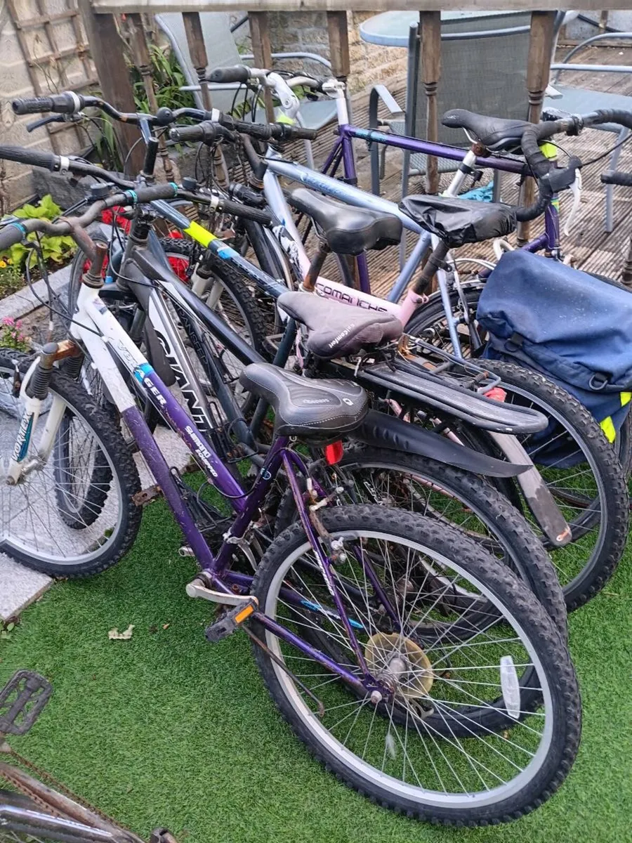 Bikes - Image 1