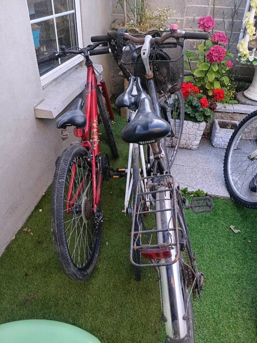 Bikes - Image 2