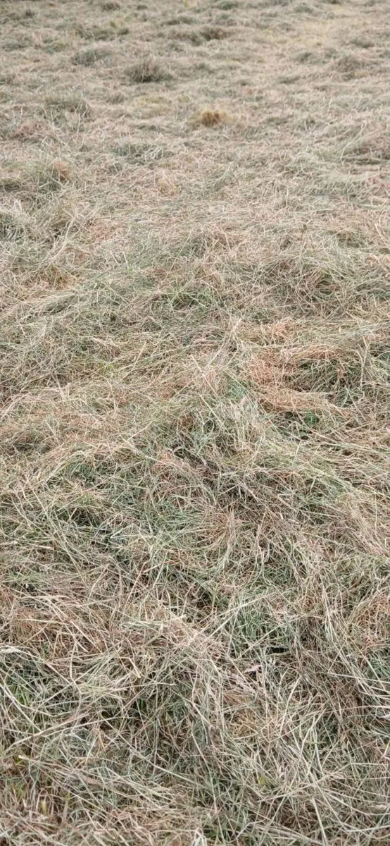 Organic hay round bales