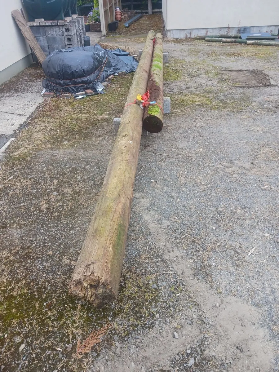 esb poles - Image 3