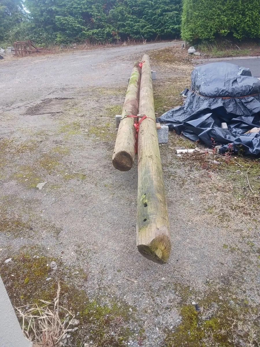 esb poles - Image 2