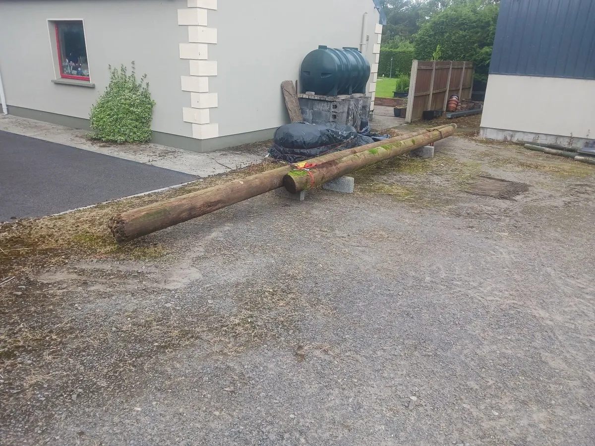 esb poles - Image 1