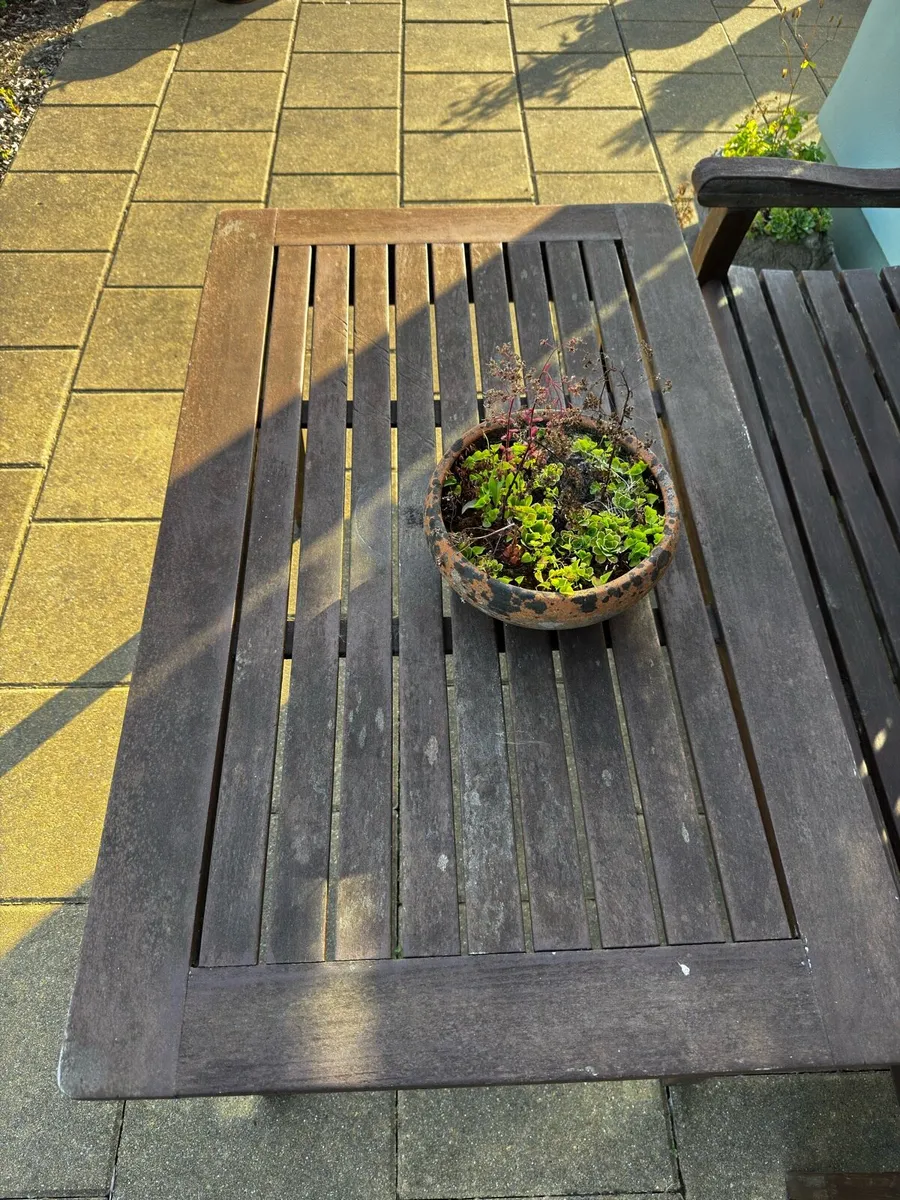 Garden Bench and Table - Image 4