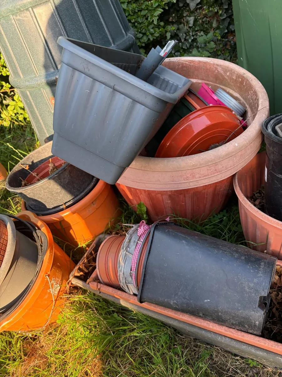 plastic pots bundle €20 together - Image 2