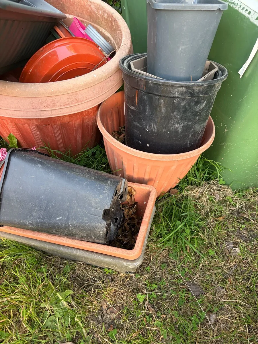 plastic pots bundle €20 together - Image 3