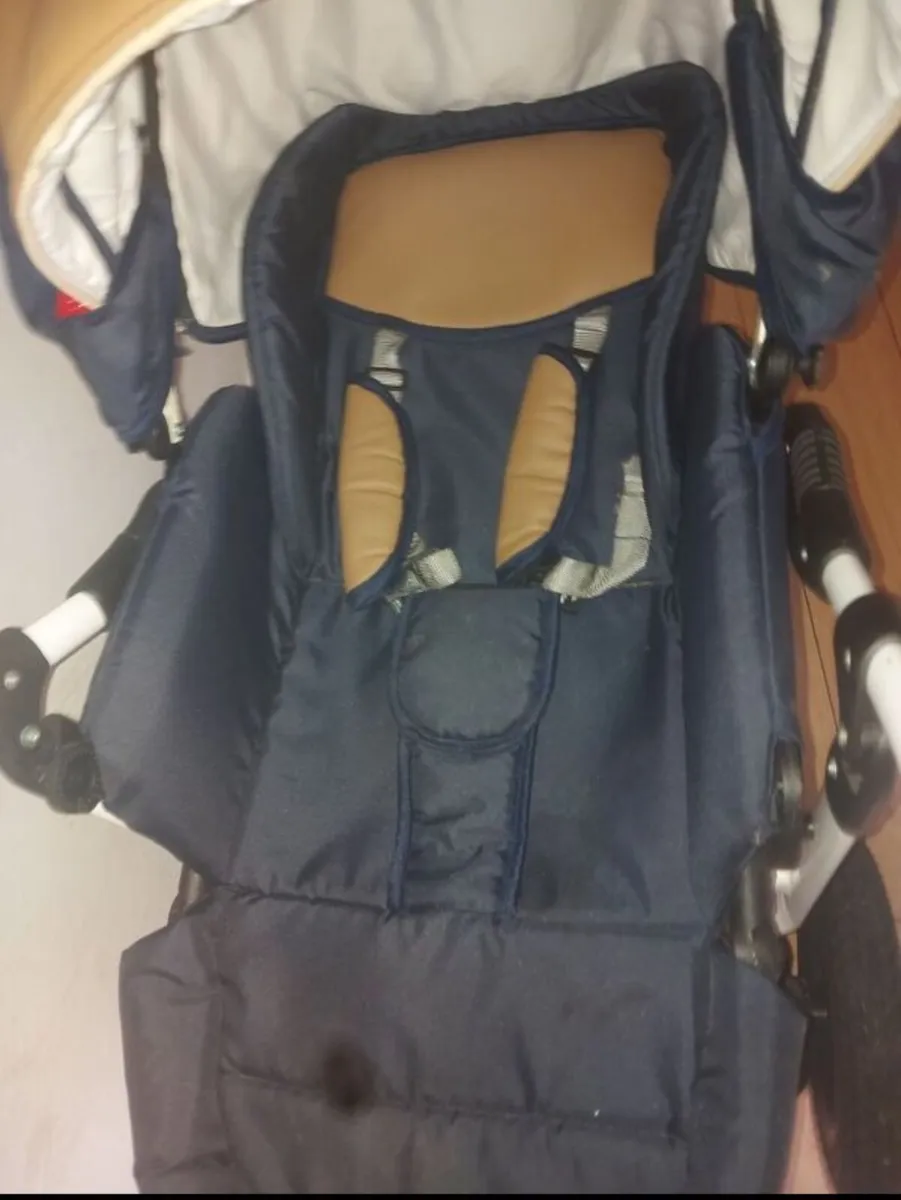 Buggy - Image 2