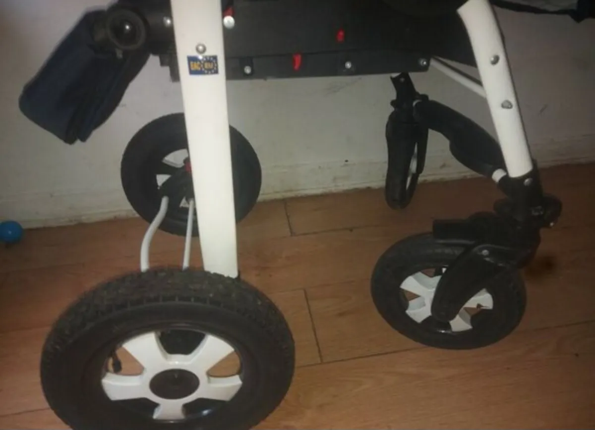 Buggy - Image 4