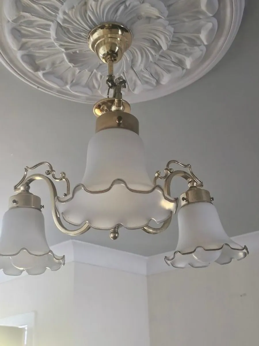 Light - Image 3