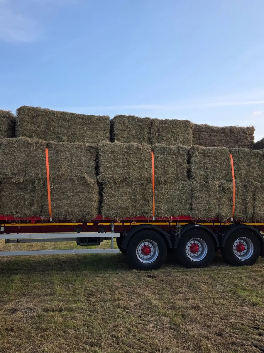 Hay and Straw - Image 1