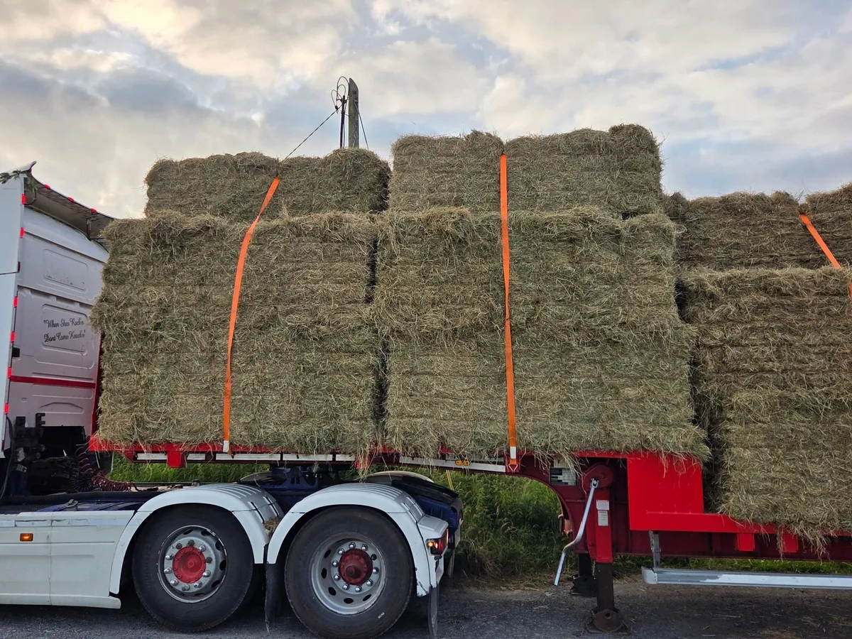 Hay and Straw - Image 2