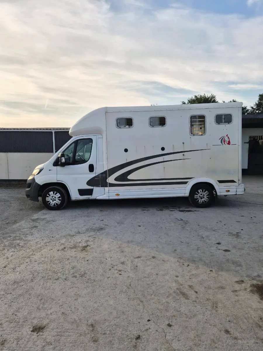 Horsebox - Image 4