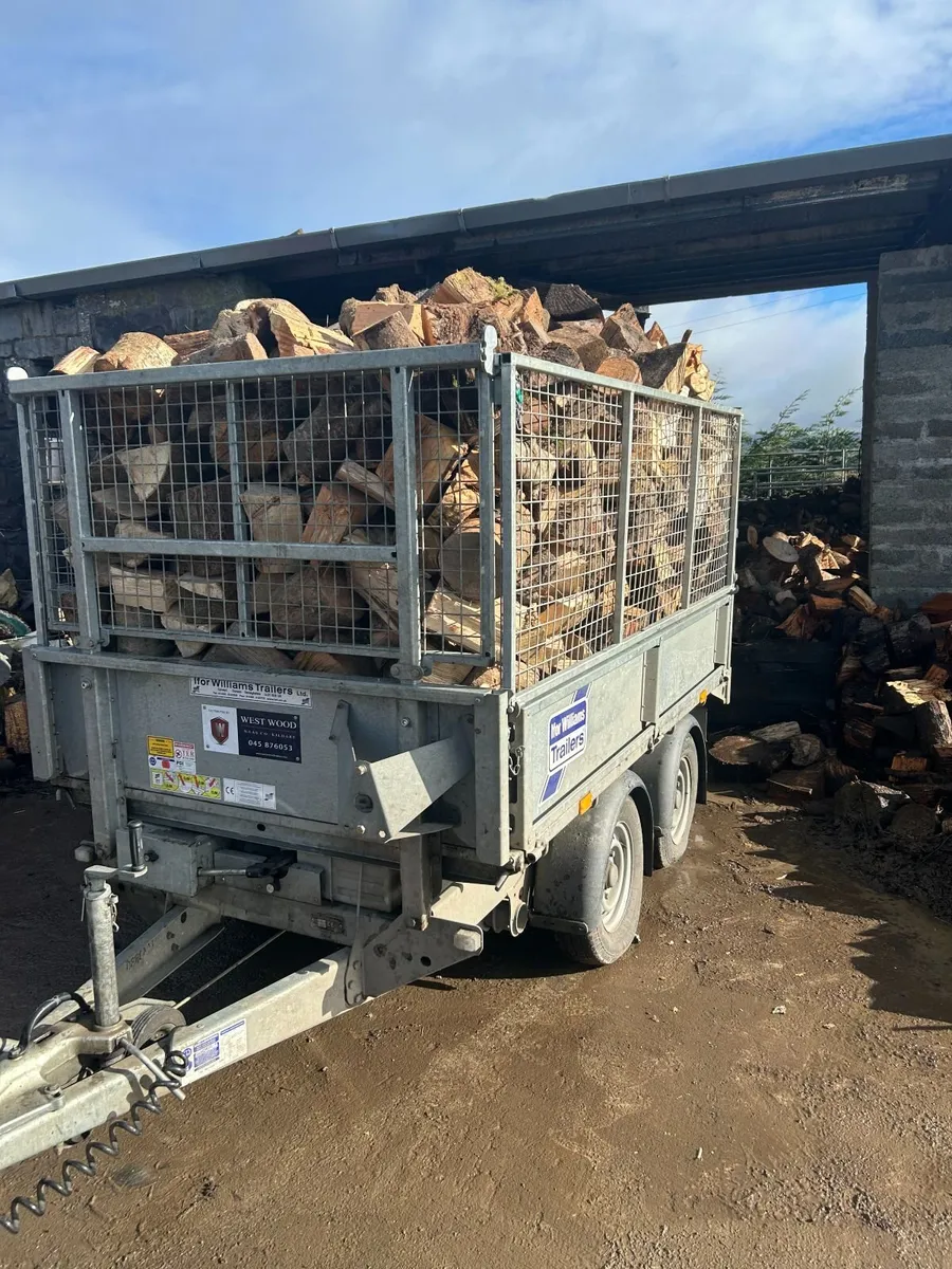 Firewood - Image 1