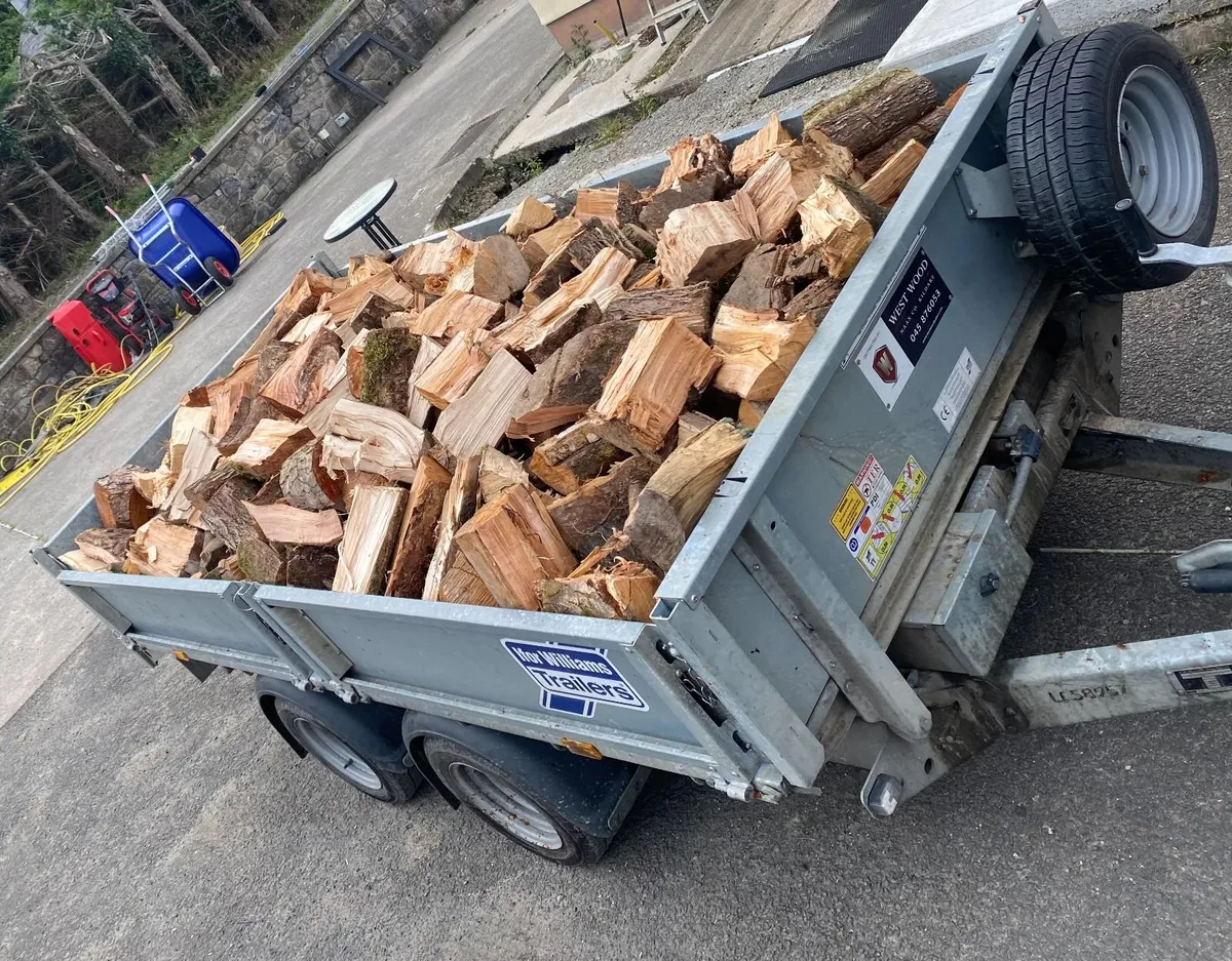 Firewood - Image 4