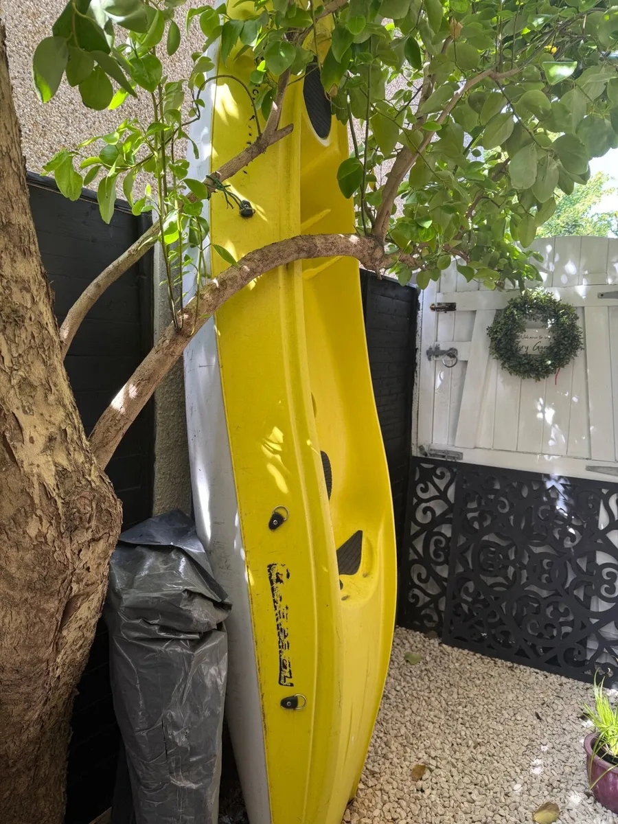Kayak - Image 3