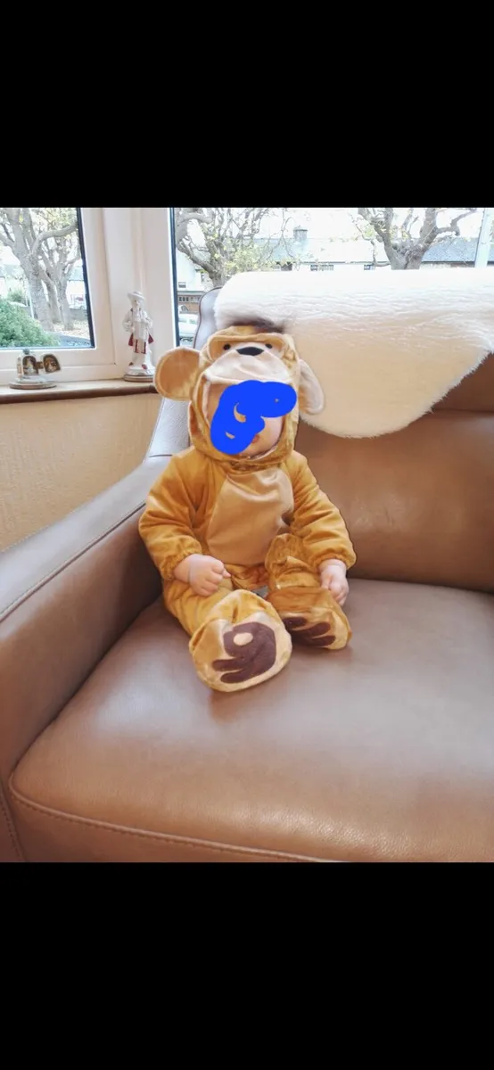 Monkey Costume / Fancy Dress - Image 2