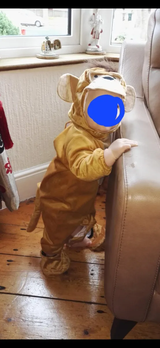 Monkey Costume / Fancy Dress - Image 3