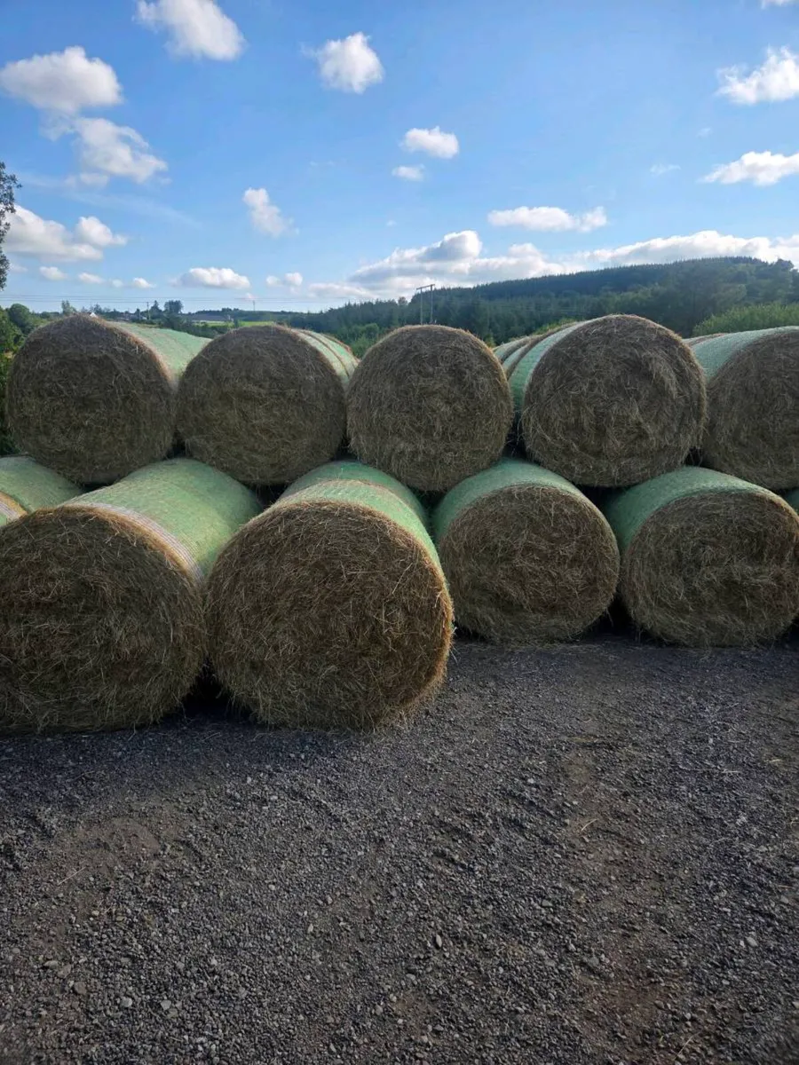 Straw - Image 3