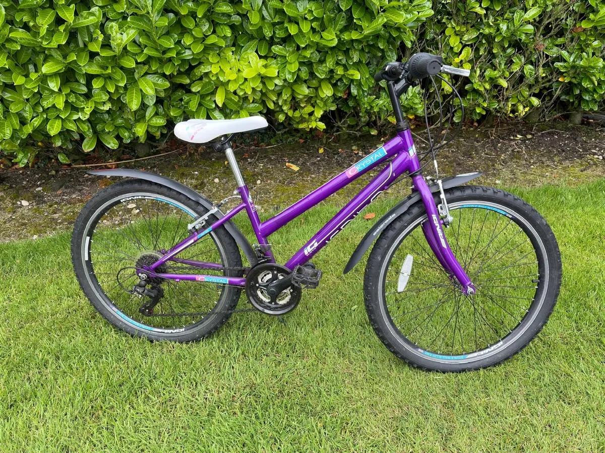 Kids bike suit 8-10yo 24 inch - Image 2
