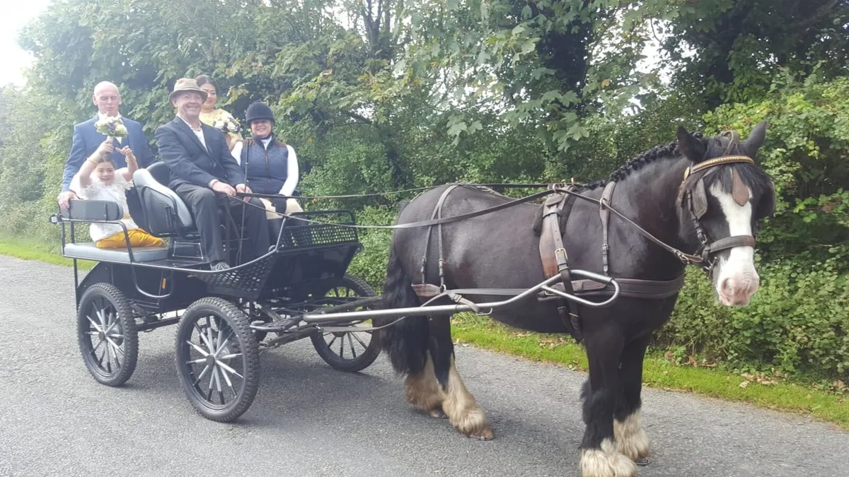 Driving cob - Image 1