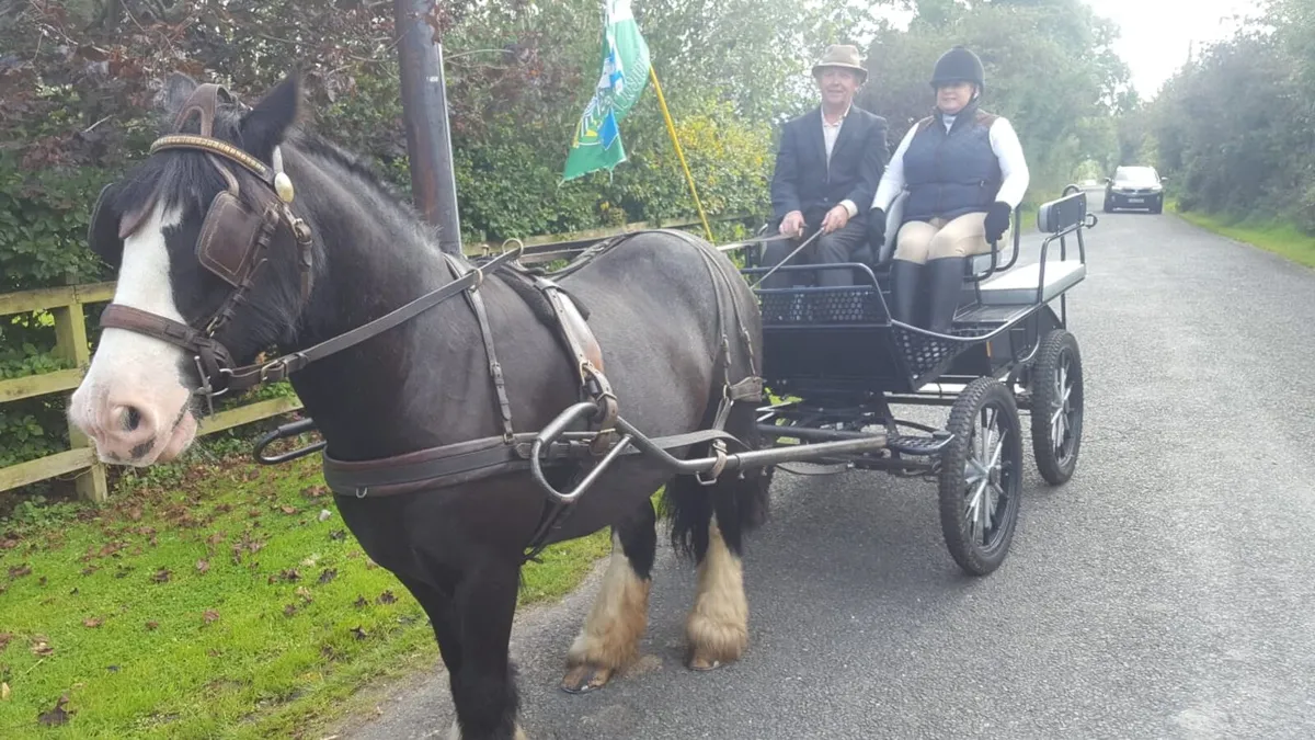 Driving cob - Image 2