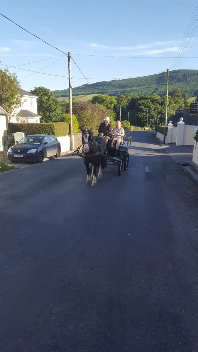Driving cob - Image 3