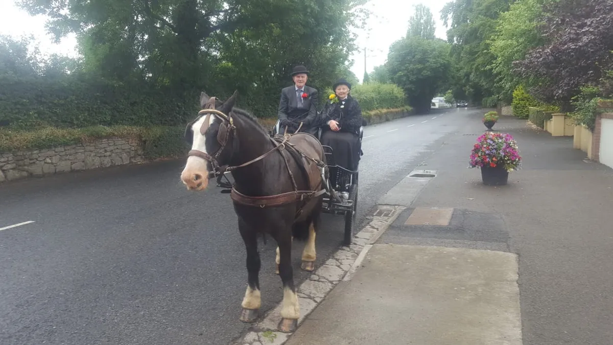 Driving cob - Image 4