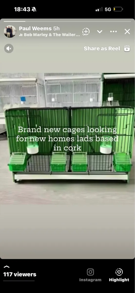 Canary double breeding cages - Image 1
