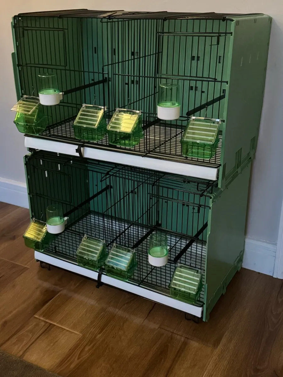 Canary double breeding cages - Image 2