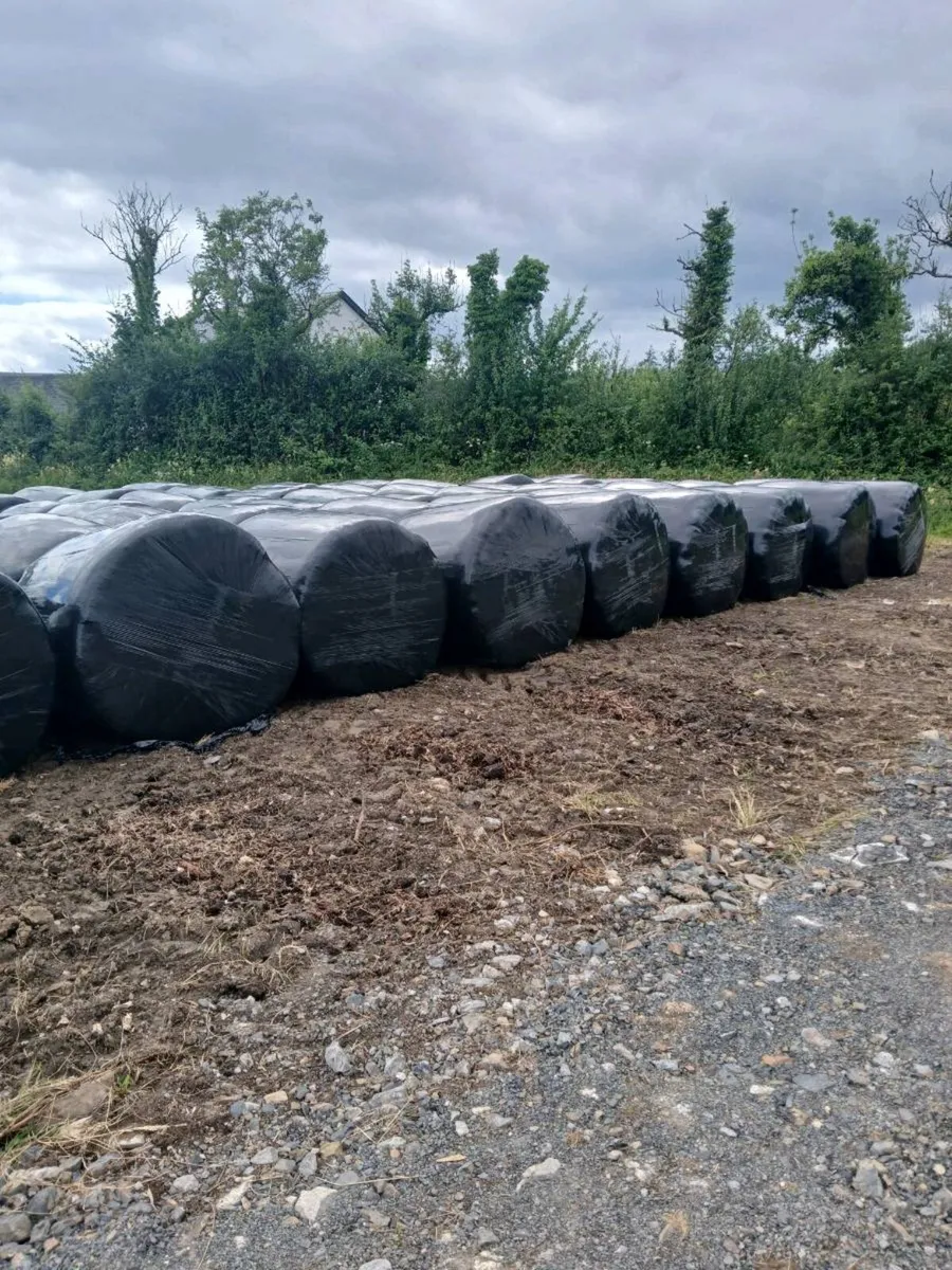 Silage and Haylage - Image 3