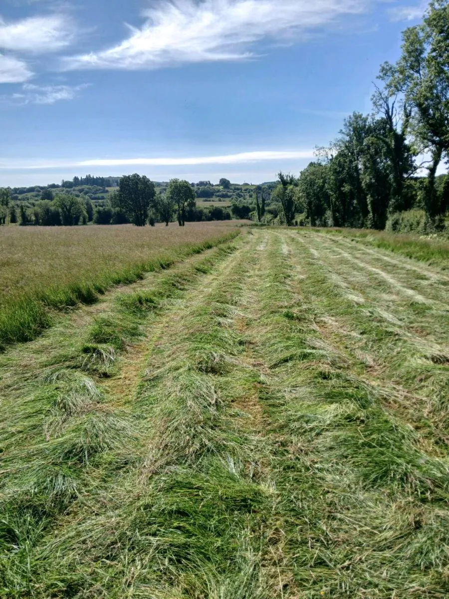 Silage and Haylage - Image 4