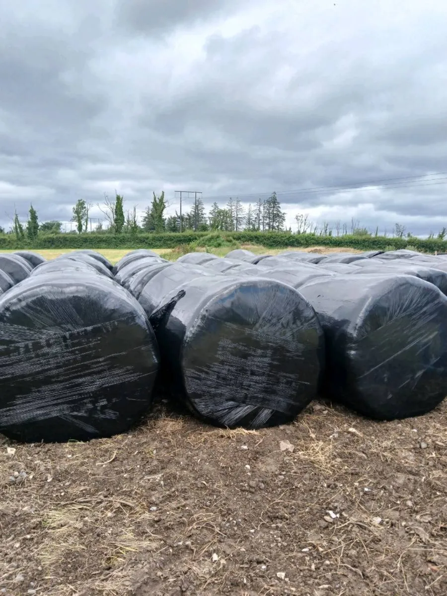 Silage and Haylage - Image 2