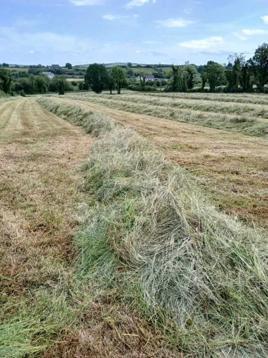 Silage and Haylage - Image 1