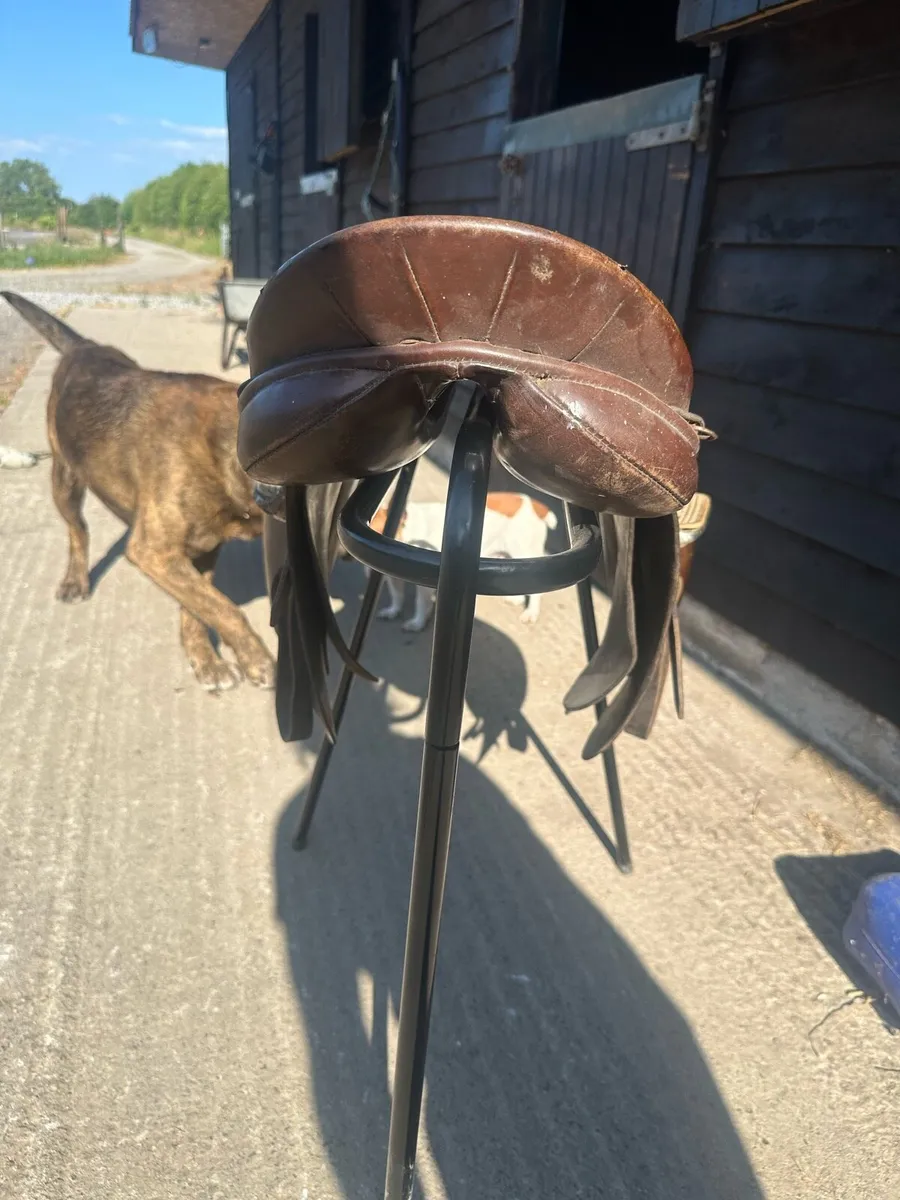 Ideal Pony Saddle - Image 4