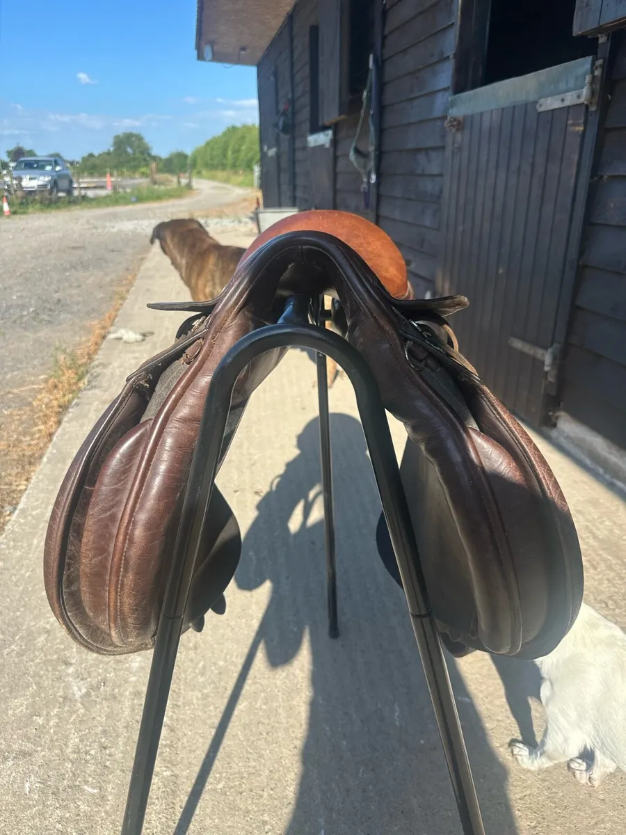 Ideal Pony Saddle - Image 2
