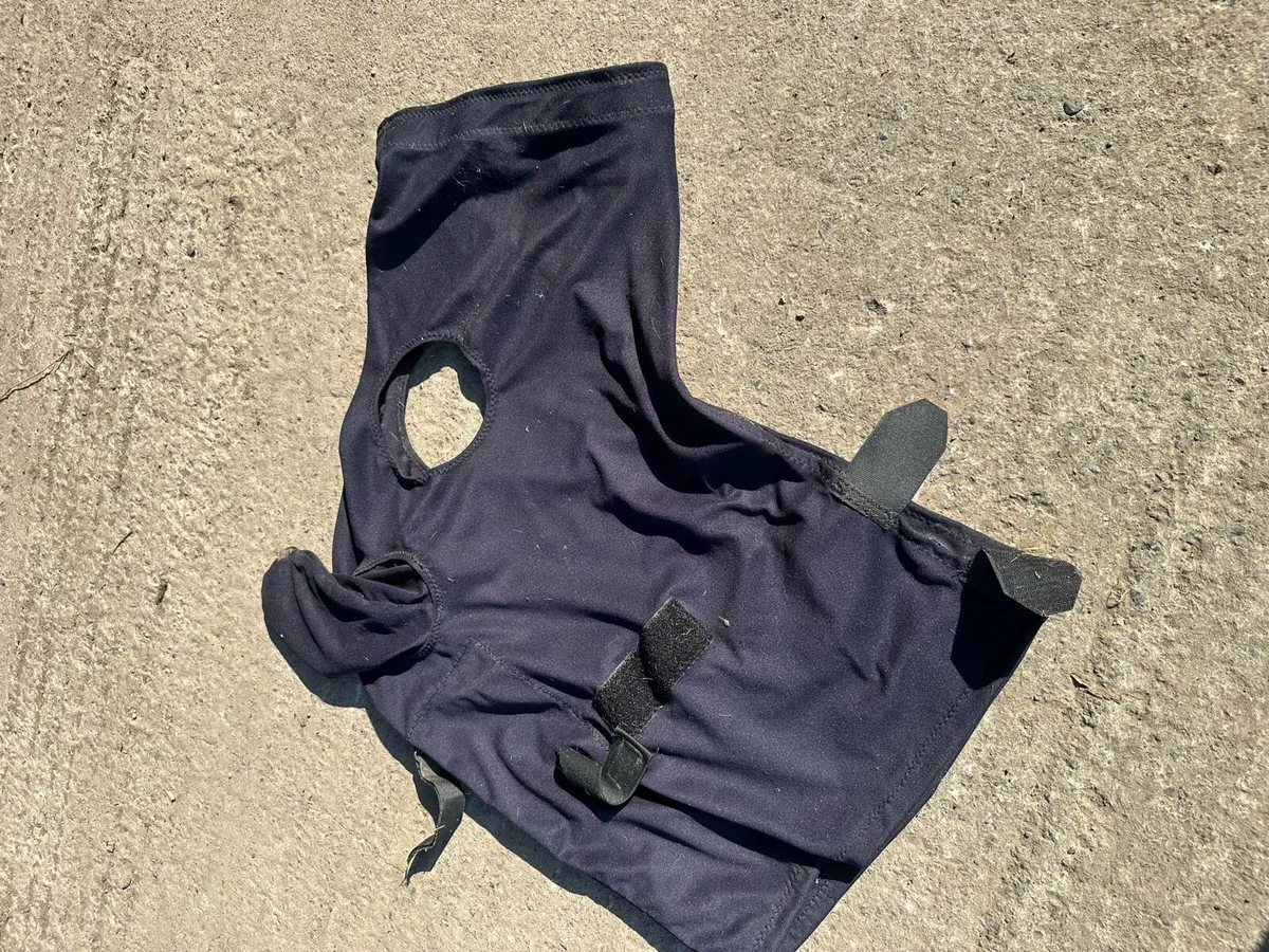 Snuggy Hood XL Navy Zip Closure - Image 1