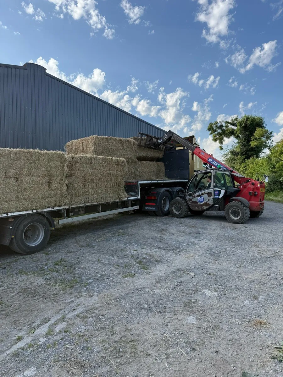 Hay 8x4x3 - Image 3