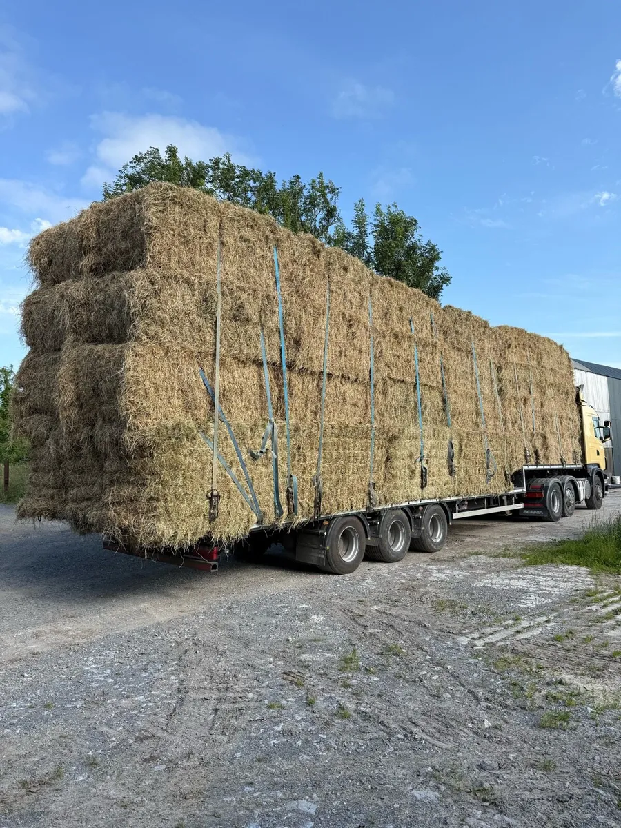 Hay 8x4x3 - Image 1