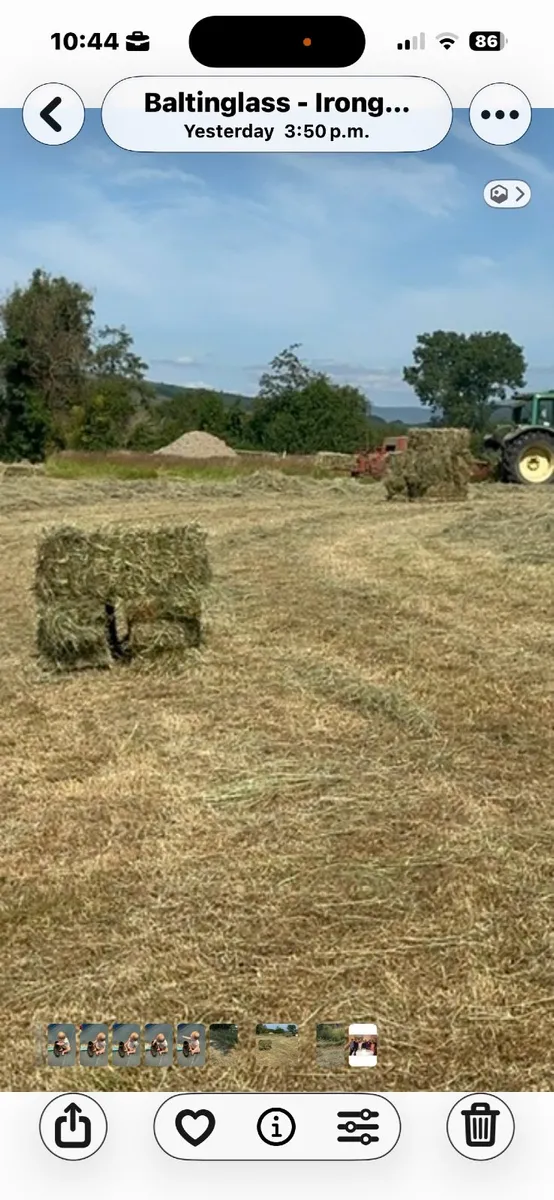 Small square Hay bales - Image 2